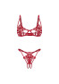 Anyya 2 pieces crotchless lingerie set - Red