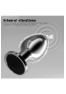 Plug vibrant acier inoxydable anal taille M avec télécommande, USB BOOTY