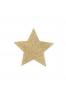 FLASH Gold Star nipples Bijoux indiscrets