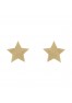 FLASH Gold Star nipples Bijoux indiscrets