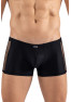 Boxer noir Daring 