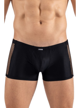 Boxer noir Daring 