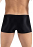 Boxer noir Daring 