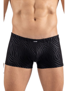 Boxer noir gold Zebra 