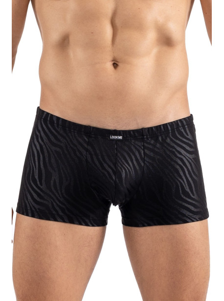 Boxer noir gold Zebra 