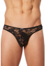 String Sensuality