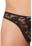 String Sensuality