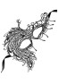 Masque souple dentelle 