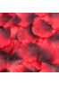 Pack de 100 Pétales de Rose