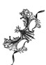 Masque souple dentelle 
