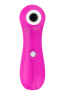Stimulateur Clitoridien à Succion Rose 1 dosette lubrifiant — Pocket Pleasure