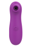 Stimulateur Clitoridien Vibrant Sans Contact Violet 1 dosette de lubrifiant — Pocket Pleasure