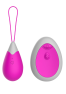 Œuf Vibrant Télécommandé 10 Modes Fuchsia 1 dosette de lubrifiant — Pocket Pleasure