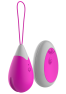 Œuf Vibrant Télécommandé 10 Modes Fuchsia 1 dosette de lubrifiant — Pocket Pleasure