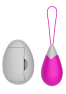 Œuf Vibrant Télécommandé 10 Modes Fuchsia 1 dosette de lubrifiant — Pocket Pleasure