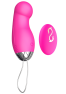 Œuf Vibrant Télécommandé 10 Modes Rose 1 dosette de lubrifiant — Pocket Pleasure
