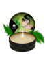 Geisha's Secrets ORGANICA - Exotic green tea Shunga
