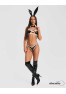 Night Bunny Costume 4 pièces