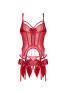 Gifty red Corset and thong