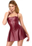 F397 Dark Romance Corset Mini Dress