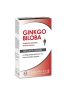 Ginkgo Biloba 60 gélules