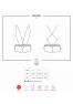 853-TED-2 Body - Blanc