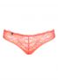 Frivolla Culotte - Corail