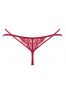 Ivetta String - Bordeaux
