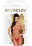 Body search Bodystocking - Rouge