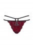Sugestina - culotte - Bordeaux