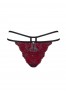 Sugestina - panties - burgundy