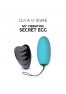 My vibrating secret egg - blue