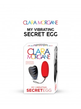 My vibrating secret egg - Red