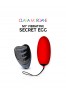 My vibrating secret egg - Red