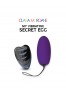 My vibrating secret egg - Purple