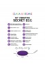 My vibrating secret egg - Purple