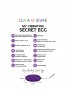 My vibrating secret egg - Violet