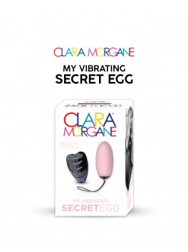 My vibrating secret egg - Pink