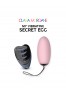 My vibrating secret egg - Pink