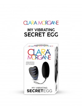 My vibrating secret egg - Black