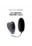 My vibrating secret egg - Noir