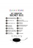 My vibrating secret egg - Black