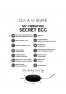 My vibrating secret egg - Noir