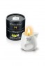 White tea massage candle plaisir secret 80 ml