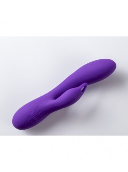  VIBROMASSEUR RECHARGEABLE V2 VIOLET STIMULATEUR CLITORIS