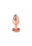 Plug anal secret play - Rose gold