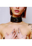 leather black collar and silver ties