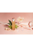 Luxurious massage oil Litchi Martini 120 ml