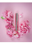 Mini Plumping lip gloss 3.5 ml