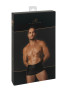 H080 Frenzy Shorts